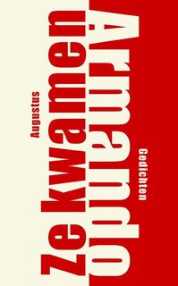 Ze kwamen - Armando (ISBN 9789045704562)