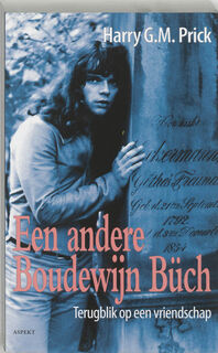 Een andere Boudewijn Büch - Harry G.M. Prick (ISBN 9789059113343)