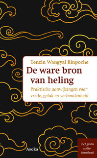 De ware bron van heling - Tenzin Wangyal Rinpoche (ISBN 9789056704322)