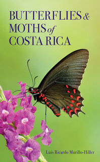 Butterflies and Moths of Costa Rica - Luis Ricardo Murillo-Hiller (ISBN 9781501781605)