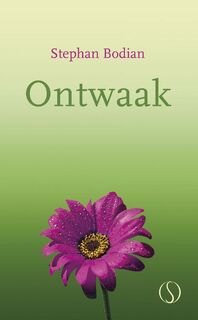 Ontwaak! - Stephan Bodian (ISBN 9789491411250)
