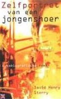 Zelfportret van een jongenshoer - David Henry Sterry, Jan Smit (ISBN 9789032508043)