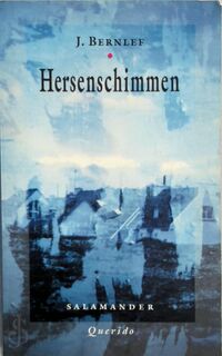 Hersenschimmen - J. Bernlef (ISBN 9789021497112)