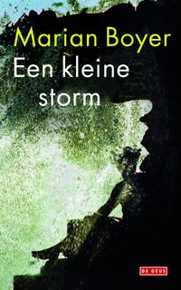 Een kleine storm - M. Boyer (ISBN 9789044513851)