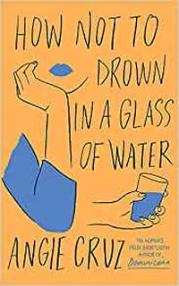How Not to Drown in a Glass of Water - Angie Cruz (ISBN 9781399806893)