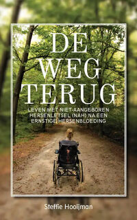De weg terug - Steffie Hooijman (ISBN 9789464038033)