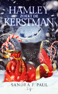 Hamley zoekt de Kerstman - Sandra J. Paul (ISBN 9789464510959)