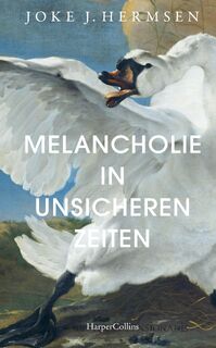 Melancholie in unsicheren Zeiten - Joke J. Hermsen (ISBN 9783749902378)