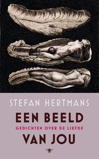 Een beeld van jou - Stefan Hertmans (ISBN 9789023497370)