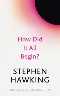 How Did It All Begin? - Stephen Hawking (ISBN 9781529392425)