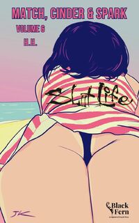 H H: Match, Cinder & Spark, Volume 6 - H. H. (ISBN 9781968703110)