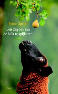 Een dag om aan de balk te spijkeren - Rinus Spruit (ISBN 9789059364486)
