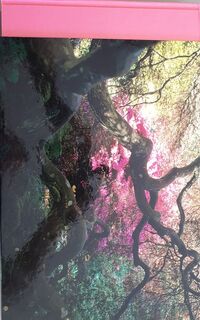 Scheppers van Arcadie - tuinen, landschappen en hun grootmeesters - Tessa Traeger, Patrick Kinmonth (ISBN 9789058971234)