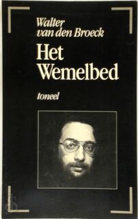 Het wemelbed - Walter van den Broeck (ISBN 9789050670104)