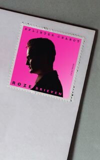 Roze Brieven - Splinter Chabot (ISBN 9789000375547)