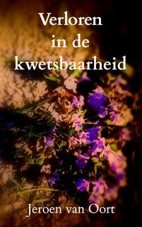Verloren in de kwetsbaarheid - Jeroen Van Oort (ISBN 9789464188844)