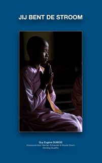 Jij Bent de Stroom - Guy Eugène Dubois (ISBN 9789464654271)