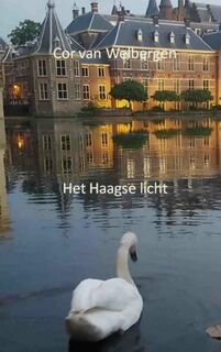 Het Haagse licht - Cor Van Welbergen (ISBN 9789463868198)