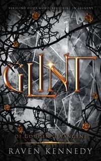 Glint - Raven Kennedy (ISBN 9789464405859)