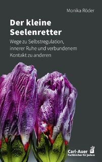 Der kleine Seelenretter - Monika Röder (ISBN 9783849705268)