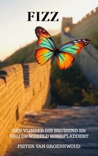 FIZZ - Pieter Van Groenewoud (ISBN 9789465206509)