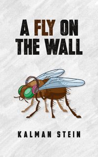 A Fly on the Wall - Kalman Stein (ISBN 9798991914420)