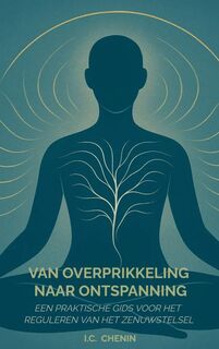 Van overprikkeling naar ontspanning - I.C. Chenin (ISBN 9789403824550)