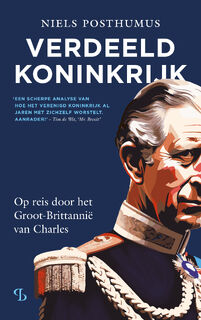 Verdeeld Koninkrijk - Niels Posthumus (ISBN 9789463824279)