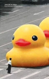 Send Me an Image (ISBN 9783958299627)