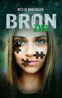 Bron - Nico De Braeckeleer (ISBN 9789463375023)