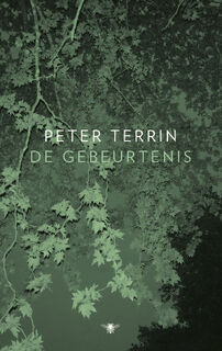De gebeurtenis - Peter Terrin (ISBN 9789403181813)