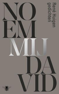 Noem mij David - Rene Huigen (ISBN 9789403134055)