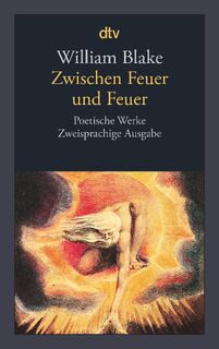 Zwischen Feuer und Feuer - William Blake (ISBN 9783423135993)