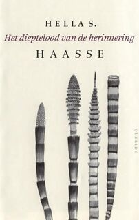 Het dieptelood van de herinnering - Hella Haasse (ISBN 9789021437262)