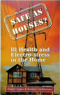 Safe as Houses? - David Cowan, Rodney Girdlestone (ISBN 9781858600376)