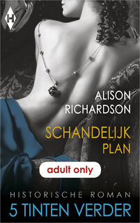 Schandelijk plan - Alison Richardson (ISBN 9789402529081)