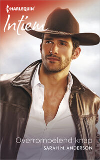Overrompelend knap - Sarah M. Anderson (ISBN 9789402531787)