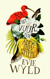 Na het vuur, een ademloze stilte - E. Wyld (ISBN 9789041416469)