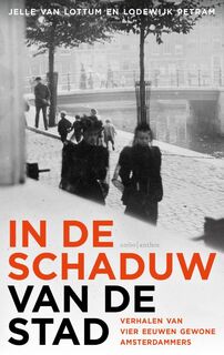 In de schaduw van de stad - Jelle van Lottum, Lodewijk Petram (ISBN 9789026351952)