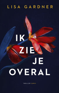 Ik zie je overal - Lisa Gardner (ISBN 9789403132570)