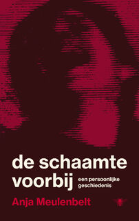 De schaamte voorbij - Anja Meulenbelt (ISBN 9789403135168)