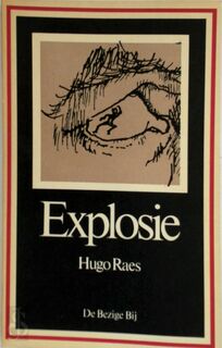Explosie - Hugo Raes (ISBN 9789023440024)