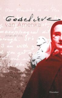 Godelieve van Amerika - Johan de Vos (ISBN 9789089242846)