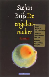 De engelenmaker - Stefan Brijs (ISBN 9789045013848)