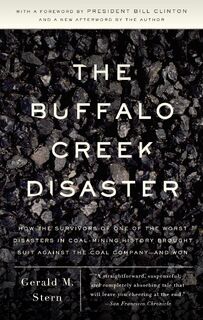 The Buffalo Creek Disaster - Gerald M. Stern (ISBN 9780307388490)
