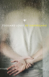 De ondergang - Édouard Louis (ISBN 9789403134161)