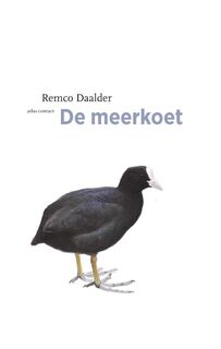 De meerkoet - Remco Daalder (ISBN 9789045030258)