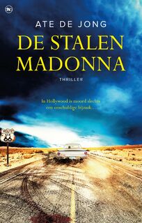 De stalen Madonna - Ate de Jong (ISBN 9789044354317)