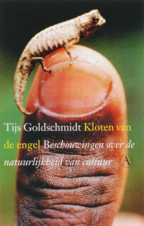 Kloten van de engel - Tijs Goldschmidt (ISBN 9789025363369)