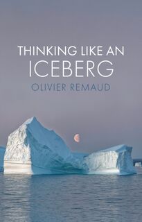 Thinking Like an Iceberg - Olivier (Ecole des Hautes Etudes en Sciences Sociales (EHESS) Remaud (ISBN 9781509551477)